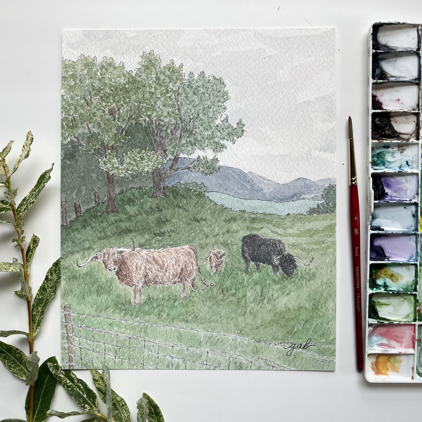 Cladich Fold Highland Cattle Scotland Giclee Print