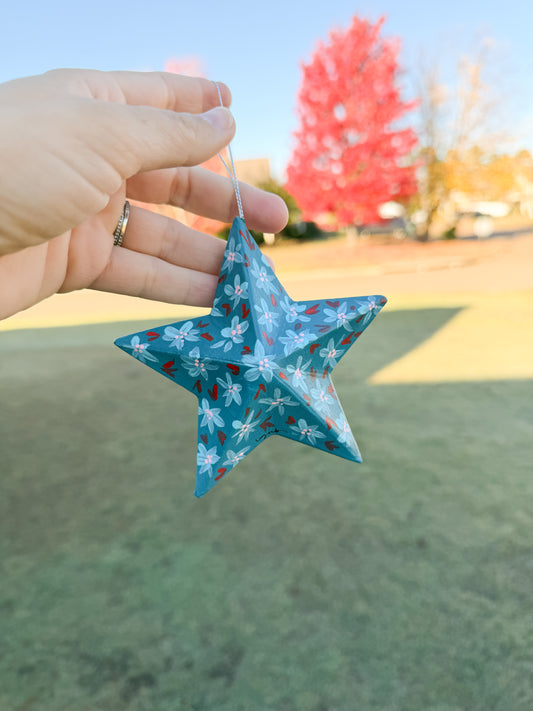 Teal and Red Star Ornament