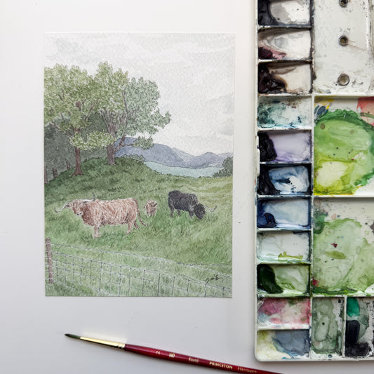 Cladich Fold Highland Cattle Scotland Giclee Print