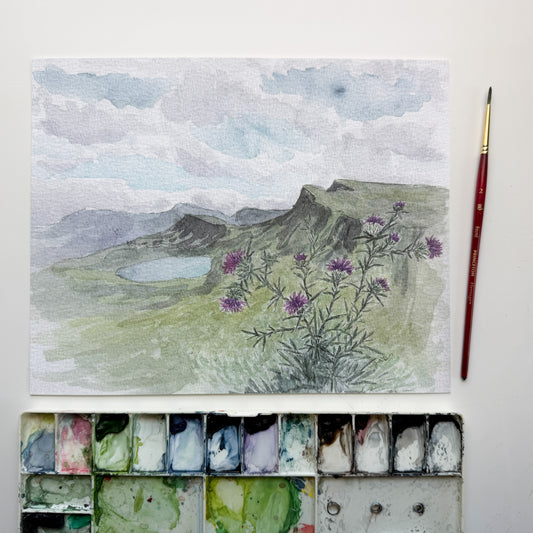 Thistles at Quiraing, Isle of Skye, Scotland 8x10 Print