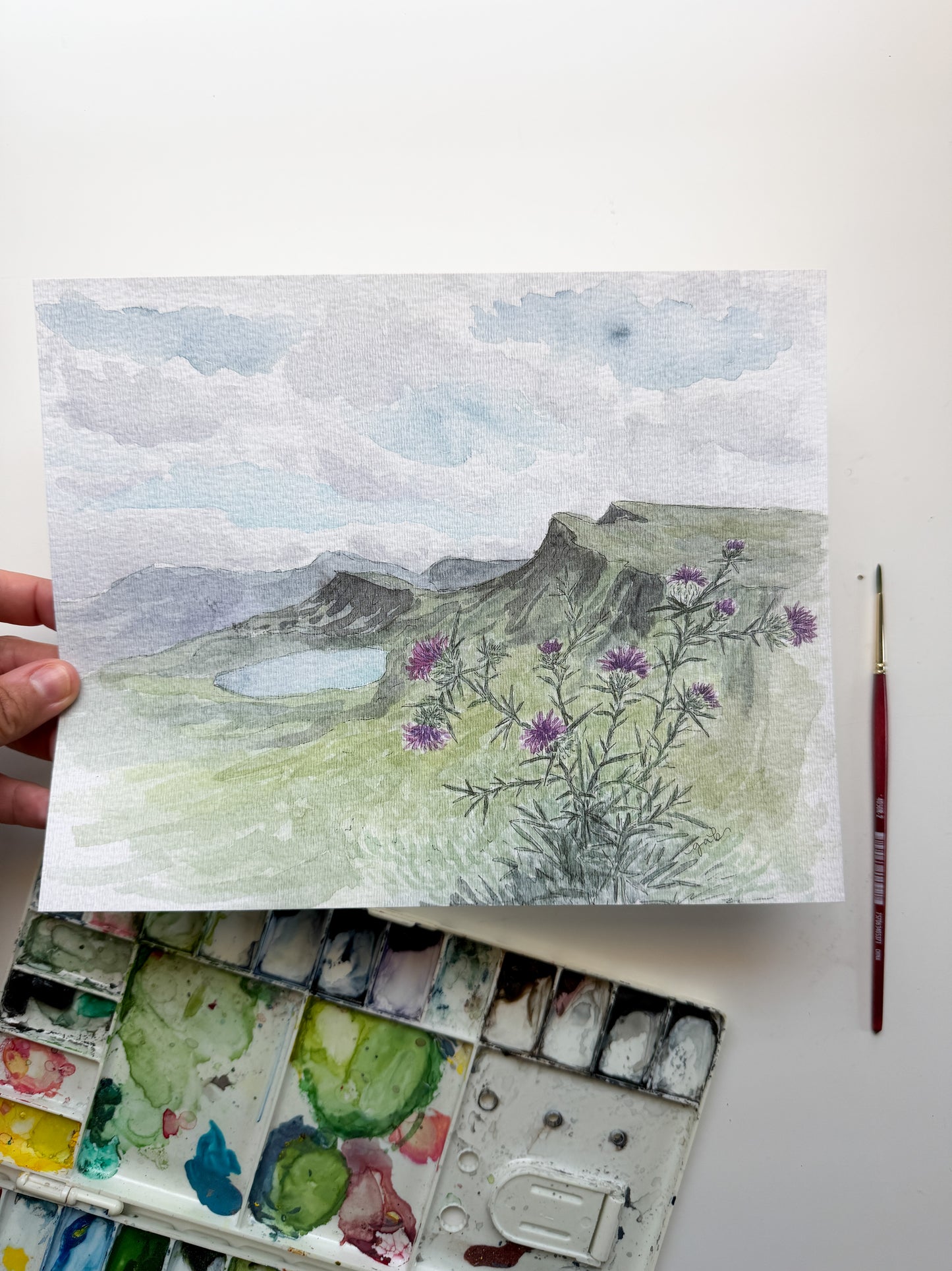 Thistles at Quiraing, Isle of Skye, Scotland 8x10 Print