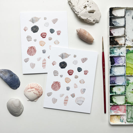 Seashell Collection Note Cards