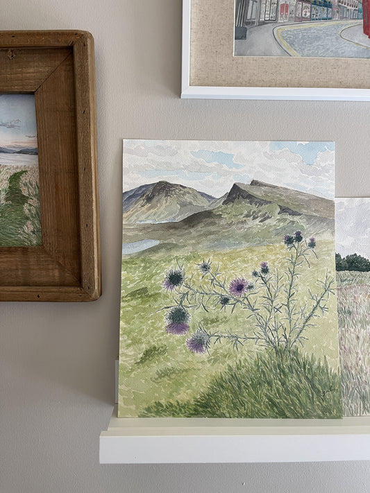"Thistles At Quiraing" - 11x14 watercolor painting of a patch of thistles at The Quiraing loop on the Isle of Skye in Scotland.