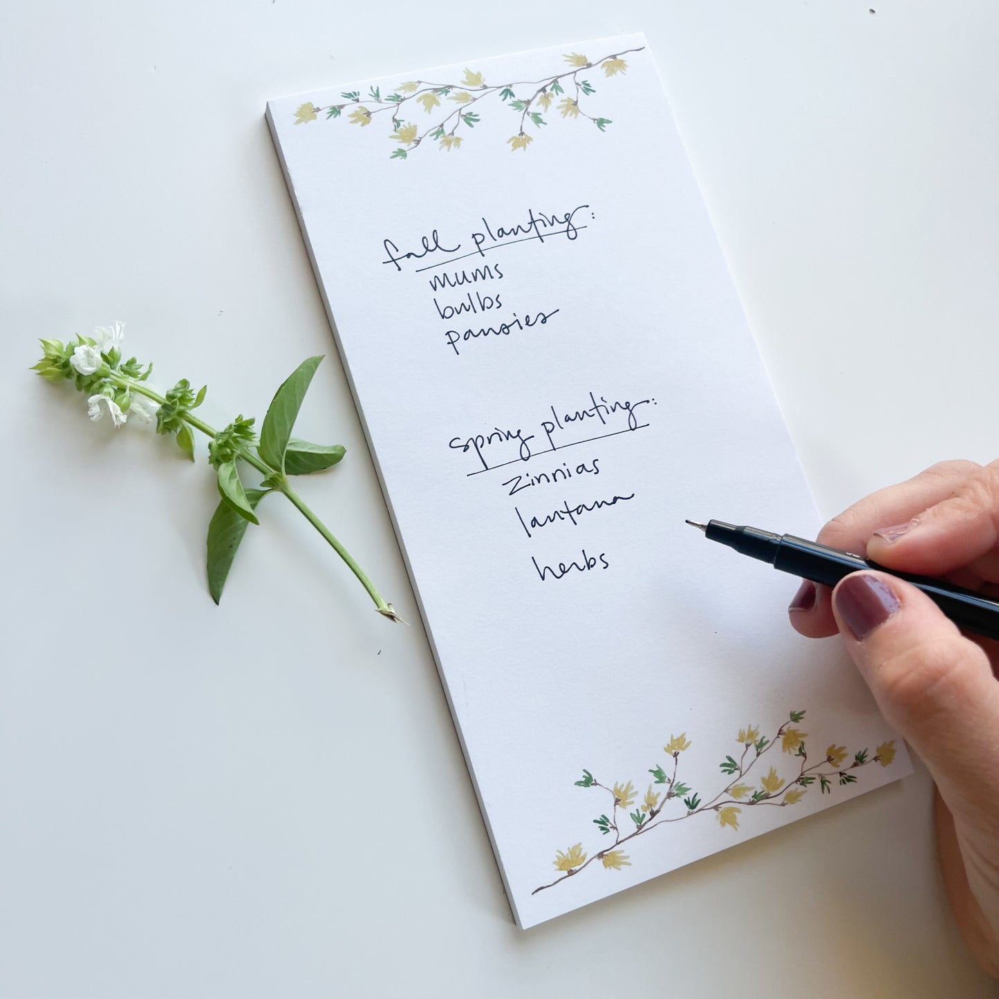 Forsythia Long Notepad